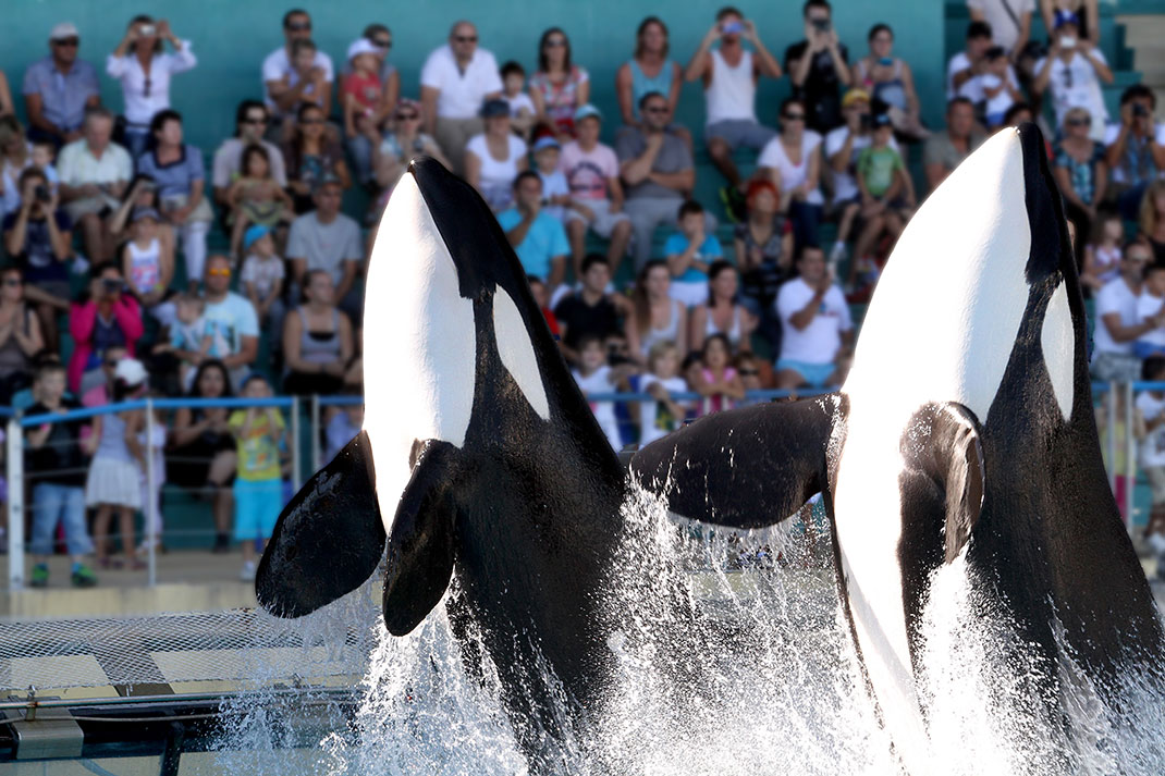 marineland-antibes