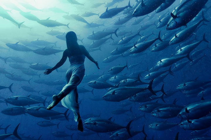 l-image-de-la-semaine-une-femme-plonge-au-milieu-de-locean-avec-un-banc-de-poisson