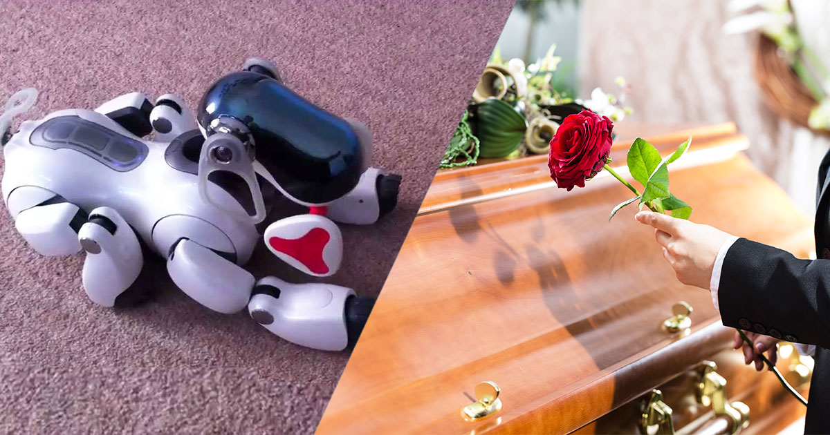 Image-Une-chien-robot